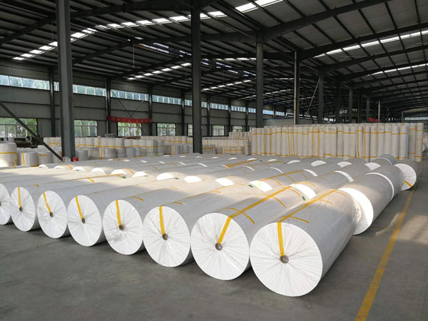 青县狭缝式涤纶纺粘无纺布
